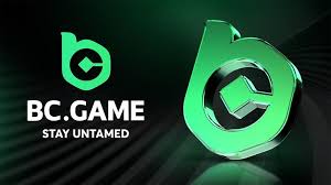 Comprehensive Guide to BC.Game Bonus Offers